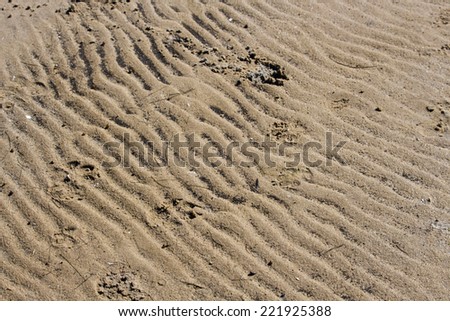 Sand patterns left by retreating tide  on the Leschenault estuary foreshore near Australind Western Australia on a sunny afternoon in early spring.