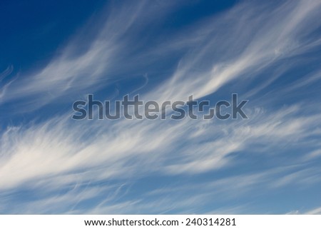 High white  wispy cirrus clouds  in  a blue Australian sky  sometimes called mare\'s tails   blown by high winds into long streamers indicate fine weather    but  stormy changes coming.