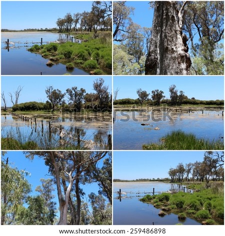 Scenic collage  of  the lake  at   Malbup Bird hide  in the  Tuart Forest National park near Busselton south west Australia  on a cloudy afternoon after heavy spring rains .
