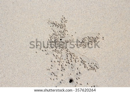 Sand Bubbler Crabs Scientific Subfamily: Scopimera inflata  leave mud balls  around a  hole on Cable Beach,  Broome in Western Australia\'s Kimberley , a 22 kilometre-long stretch of pure white sand.