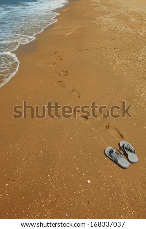 a photo of flip-flop near water\'s edge