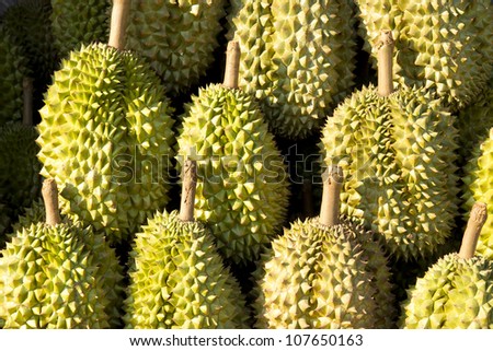 Durian, king of fruit, fruit in Thailand