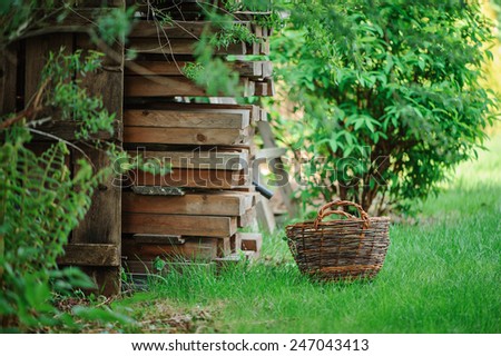 basket with wood shed in summer green garden