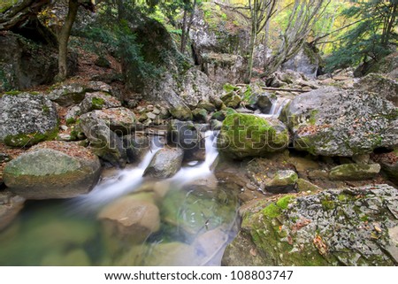 Transparent water in the mountain wood in the autumn with bright leaves. Landscape