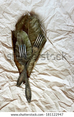 Vintage cutlery on a paper background with old dried-up leaves. Rustic style.
