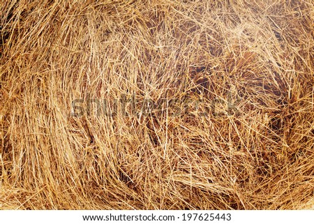 Haystack after harvest. Structure, background. Golden colors, rural scene.