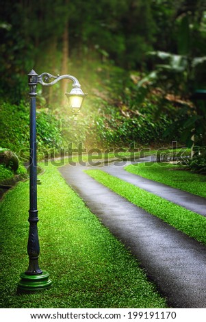 Magic lantern near road in forest