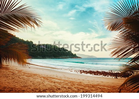 Tropical beach with palm trees and ocean waves. Vintage effect.