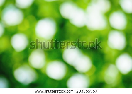 Fresh green blurred background glowing in sunlight. Ecology, eco friendly, environment.
