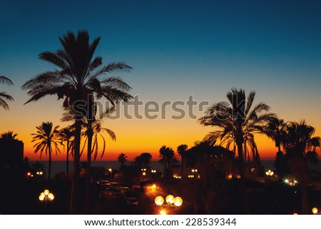 Summer sunset at a coastline with palm tree silhouettes. Evening in city at the sea, beautiful lantern illumination.