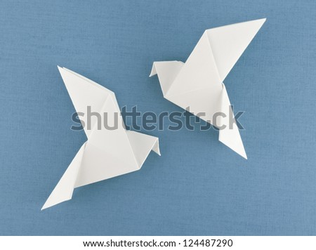 pair of pigeons pair of pigeons