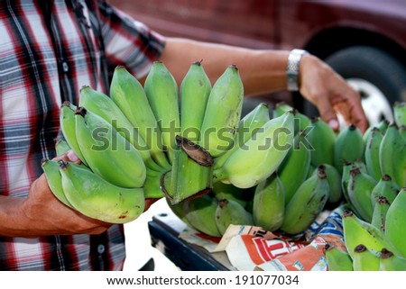 Green banana - raw banana sale in market