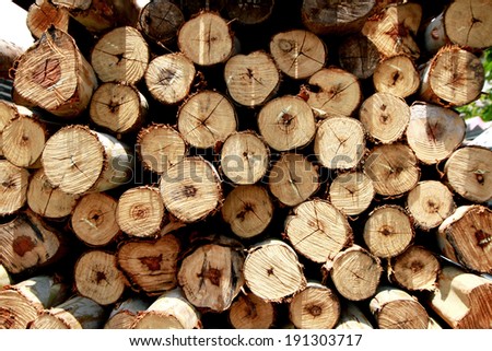 A timber texture