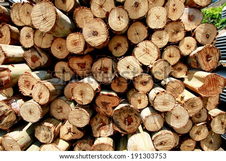 A timber texture