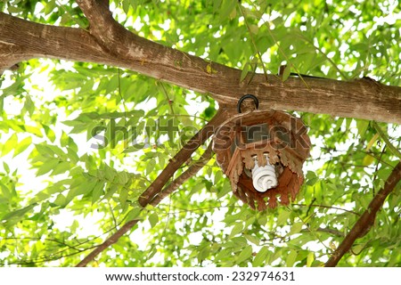 Lamp on the tree