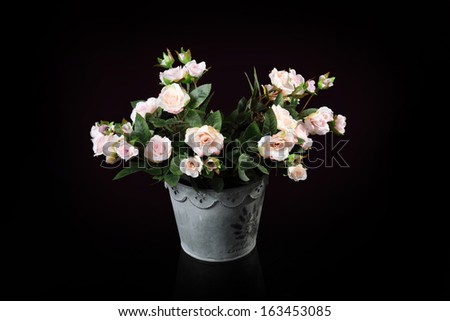 bouquet of artificial roses isolated on a black background
