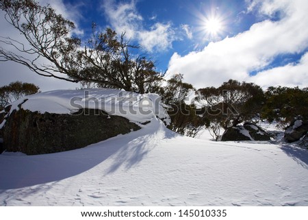 Beautiful winter landscape with snow and sun rays.