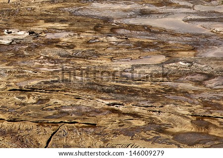 Brown wet rock background abstract photographed near the sea.