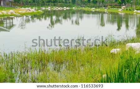 small peace lake