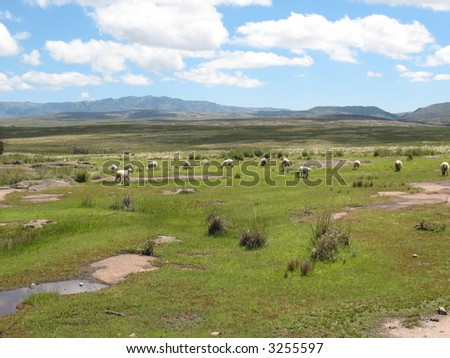 landscape of Punilla Valley (Cordoba - Argentina) mediterranean place in Argentina