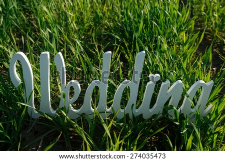 word wedding of the wooden letters on a green grass wooden sign on the green lawn wedding wedding decor wooden letters wedding photoshoot