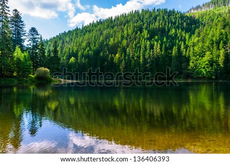 calm clear lake in the mountains of pine trees planted in fine summer weather