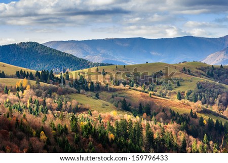 autumn mountain landscape. valley on the hillside with coniferous and yellowed trees in early morning