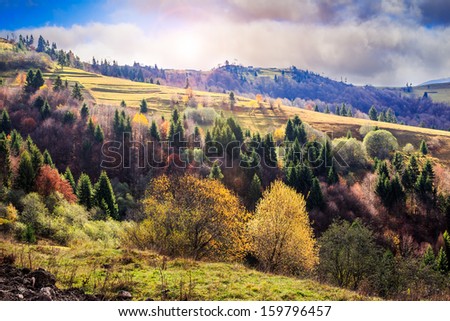 autumn mountain landscape. valley on the hillside with coniferous and yellowed trees in early morning