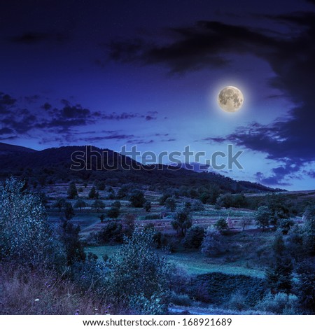 moon light falls on top of a high mountain
