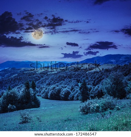 mountain steep slope with coniferous forest in moon light