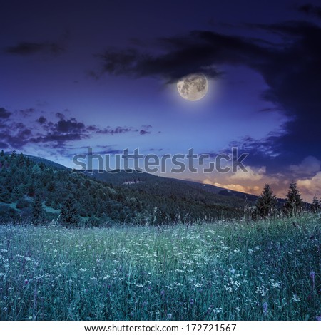 mountain summer landscape. pine trees near meadow and forest on hillside under night sky with clouds in moon light