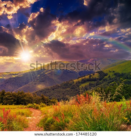 mountain summer landscape with rainbow. pine trees near meadow and forest on hillside under  sky with clouds at sunset
