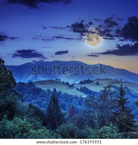 mountain steep slope with coniferous forest at night in moon light