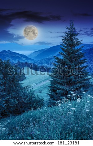 forest glade with flowers in the cool shade of the trees a hot summer night in moon light