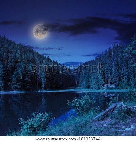 view on lake near the pine forest at night on mountain background