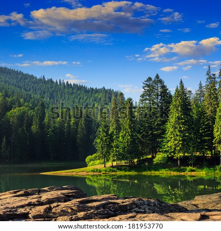 view on lake near the pine forest early in the morning on mountain background