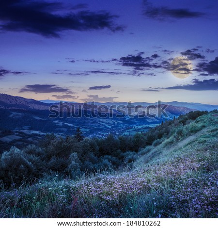summer landscape. village on the hillside. forest on the mountain light fall on clearing on mountains at night in moon light