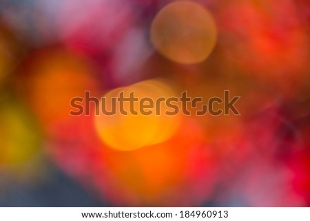 Abstract light blur through the leaves and flowers of the tree crown