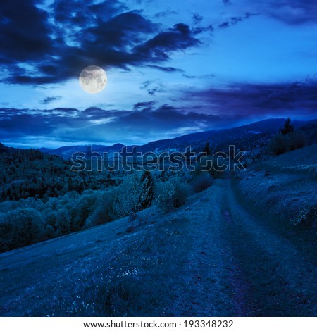 summer landscape. meadow path on the hillside. forest in fog on the mountain at night in moon light