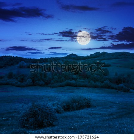 mountain summer landscape.forest near meadow on hillside under  cloudy sky at night in moon light