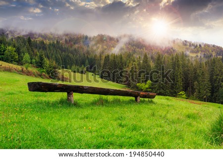 wooden bench out of wood on the meadow in front of coniferous forest on the hillside in the fog