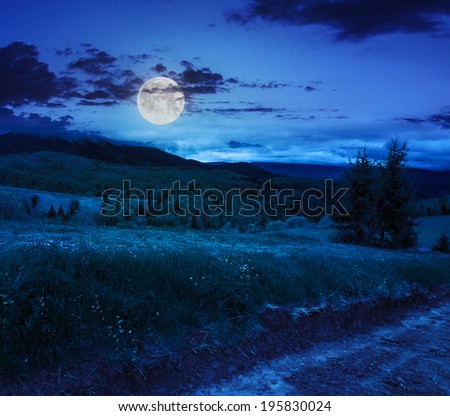 wide trail with near the lawn in the shade of pine trees at night in moon light