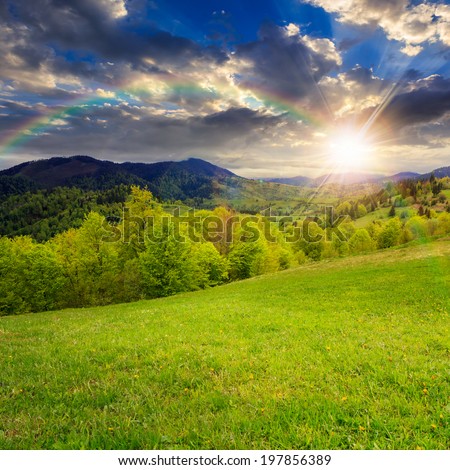 summer landscape. rainbow over the green grass on  hillside meadow. forest in fog on the mountain at sunset  in light flare