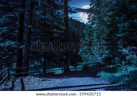 wide trail with a wooden fence near the lawn in the shade of pine trees of green forest at night in moon light