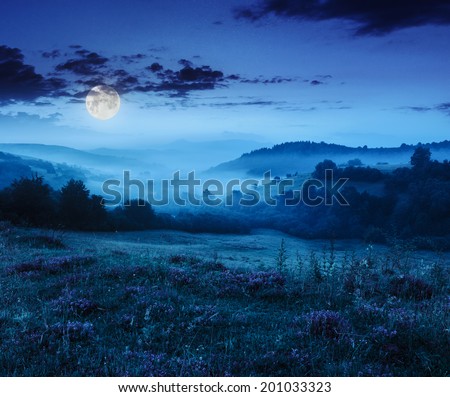 cold fog on forest near mountains at night in moon light