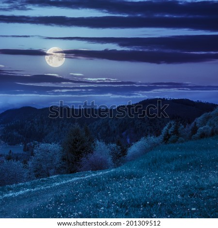 mountain summer landscape. trees near meadow and forest on hillside under  sky with clouds at night in moon light