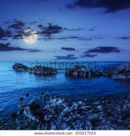 calm sea wave wash the boulders and brings seaweed at night in moon light