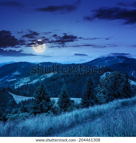 path in the grass on top of a slope of mountain range with coniferous forest at night in moon light