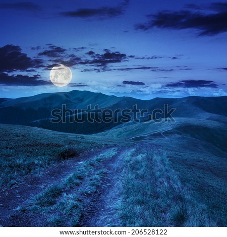 wide trail near the lawn in high mountains at night in full moon light