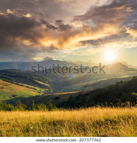 summer landscape. grass on the hillside. forest on the mountain light fall on clearing on mountains at gold sunset